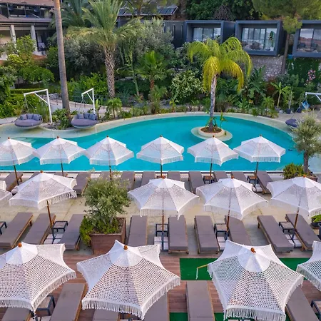 Morina Deluxe 3*