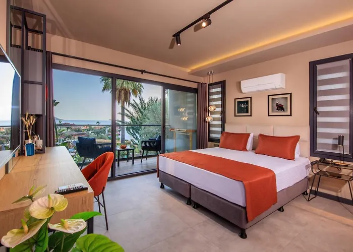 Morina Deluxe מלון