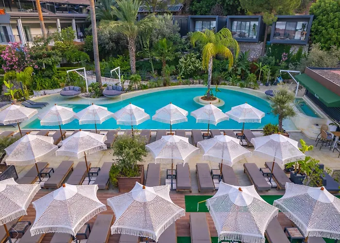 Morina Deluxe 3*