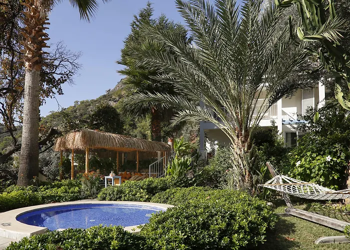 Morina Deluxe 3*