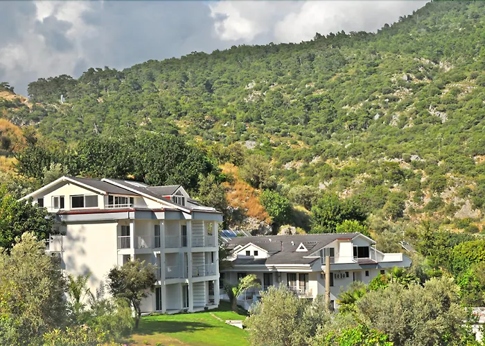 Morina Deluxe
