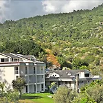 Morina Deluxe