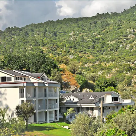 Morina Deluxe