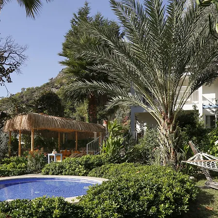 Morina Deluxe 3*